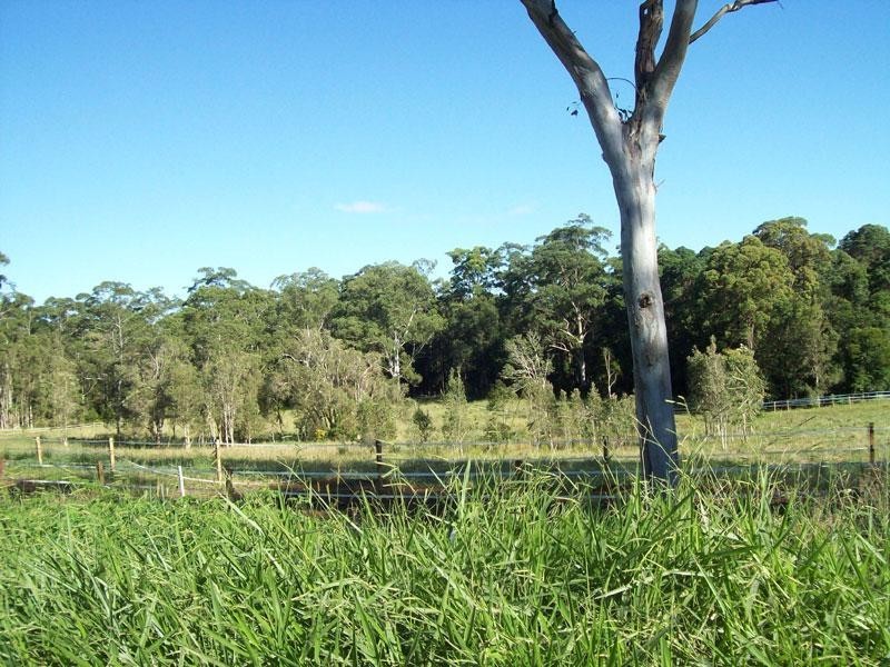 72 Sheahans Road, Yandina QLD 4561