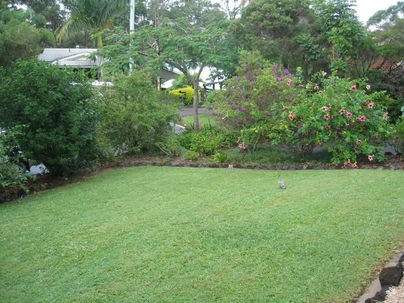 12 Karawatha Street, Buderim QLD 4556