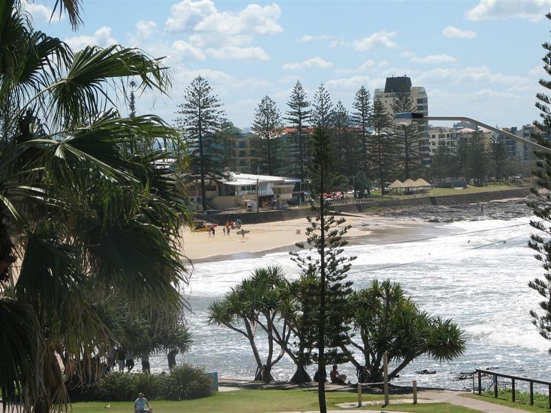 447/180 Alexandra Parade, Alexandra Headland QLD 4572