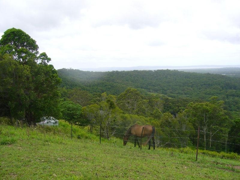 407 Cootharaba Road, Noosaville QLD 4566