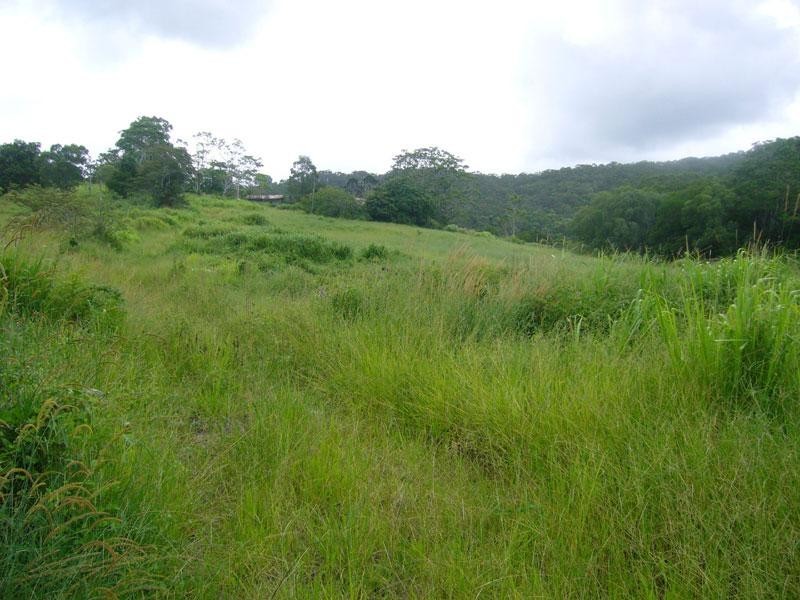 407 Cootharaba Road, Noosaville QLD 4566