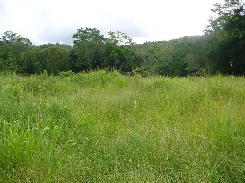 407 Cootharaba Road, Noosaville QLD 4566