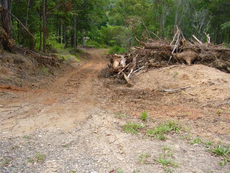 407 Cootharaba Road, Noosaville QLD 4566