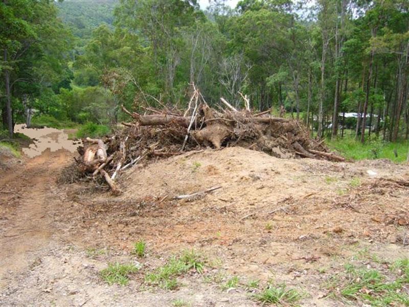 407 Cootharaba Road, Noosaville QLD 4566