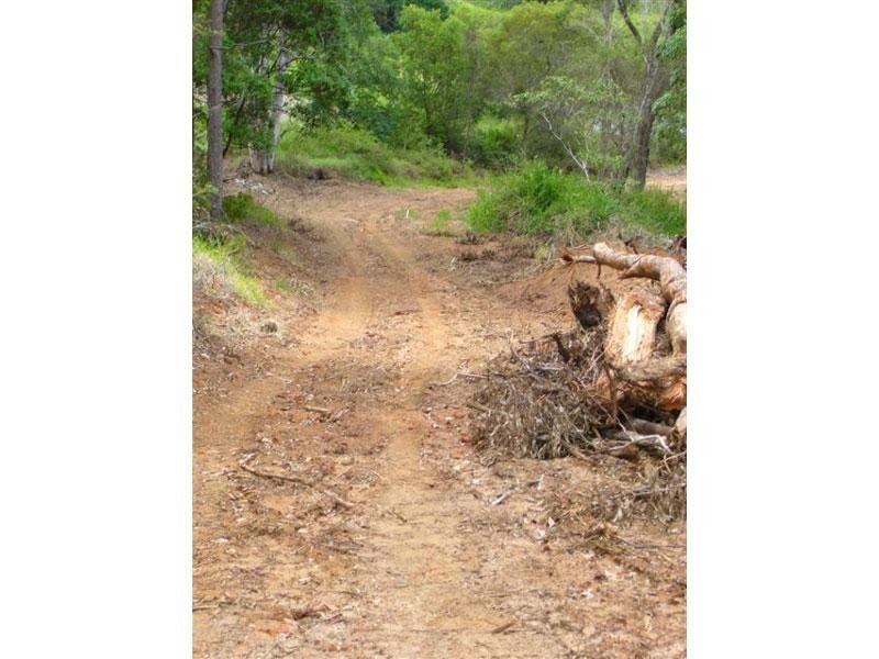 407 Cootharaba Road, Noosaville QLD 4566