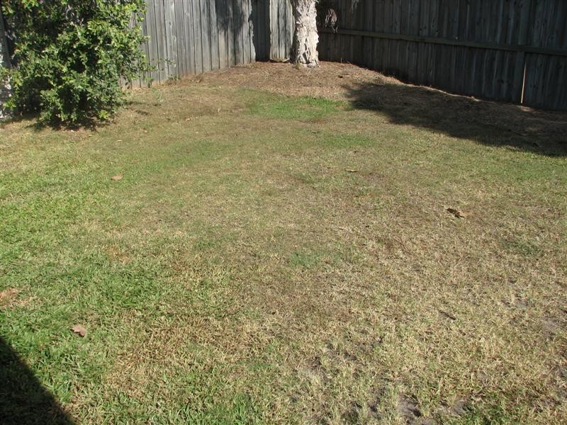 11 Phoenix Circuit, Sippy Downs QLD 4556