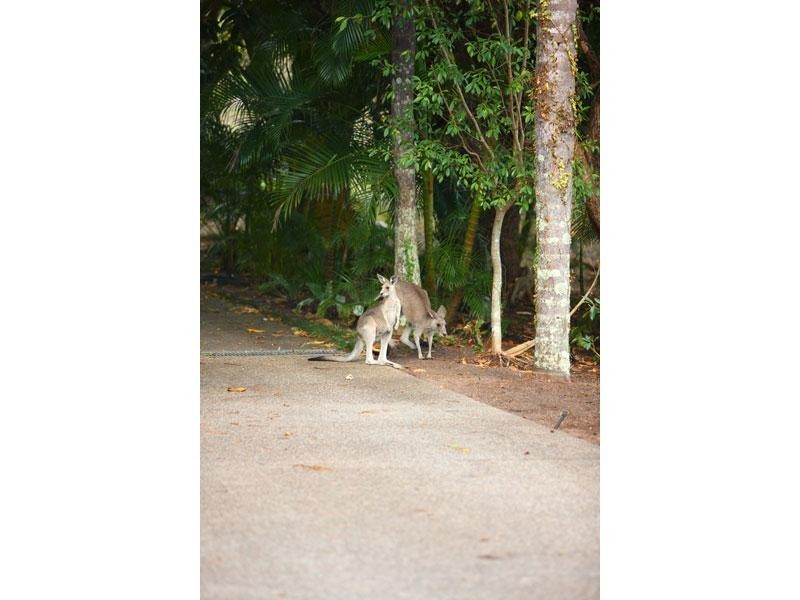 9 Nye Avenue, Buderim QLD 4556