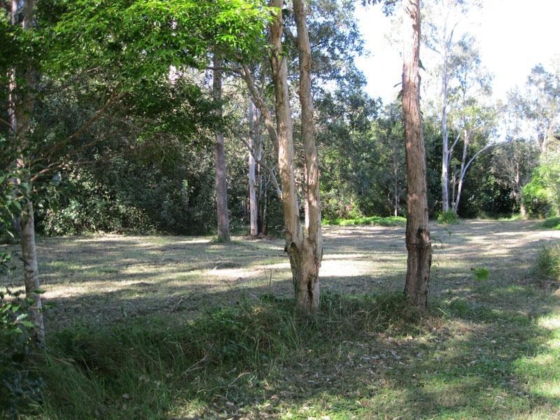 294 Bli Bli Road, Bli Bli QLD 4560