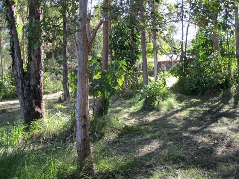 294 Bli Bli Road, Bli Bli QLD 4560