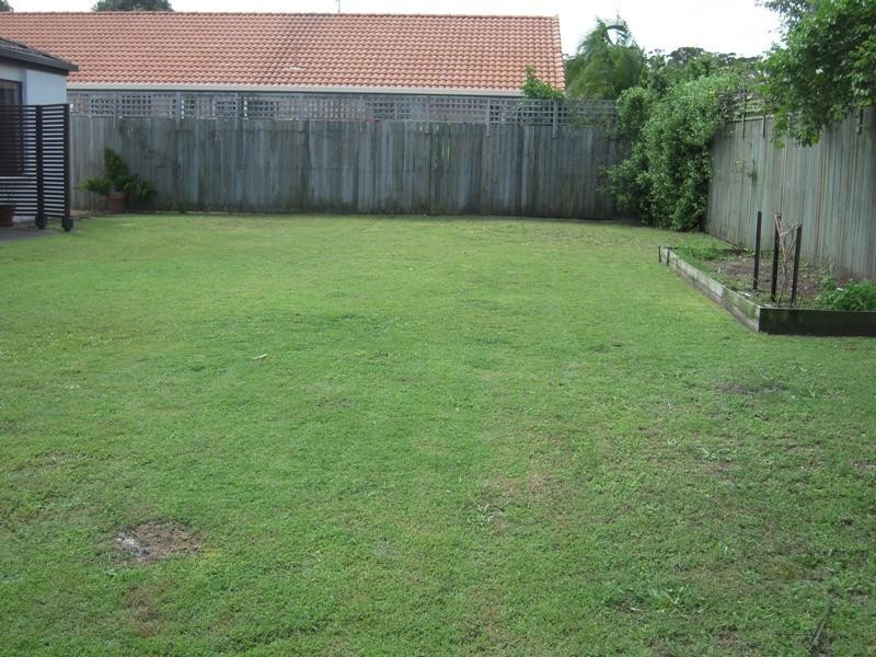 2 Tilapia Court, Mountain Creek QLD 4557