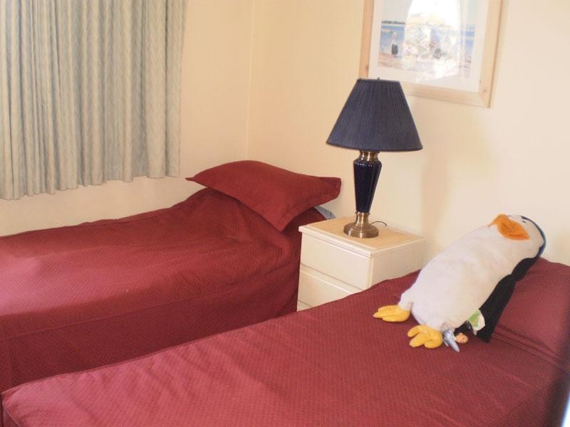 18 Maroubra Street, Maroochydore QLD 4558