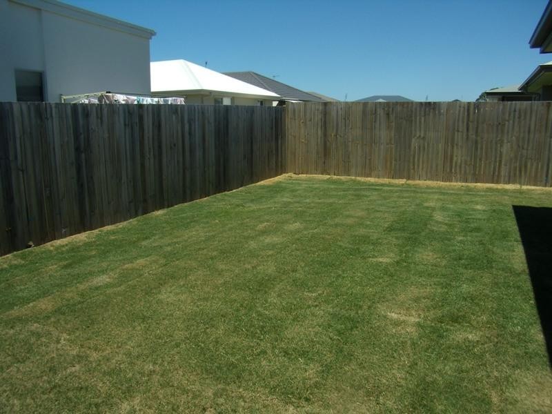 11 Rapanea Street, Caloundra QLD 4551