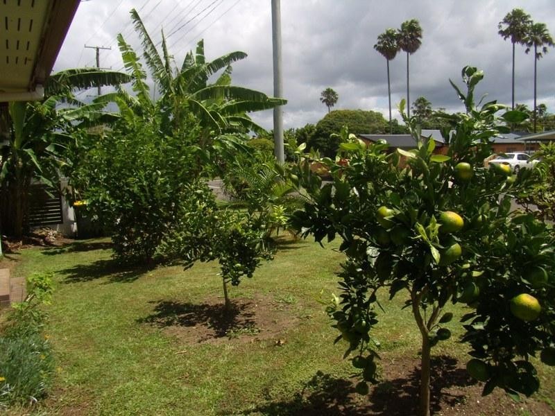 15 Poinsettia Avenue, Mooloolaba QLD 4557