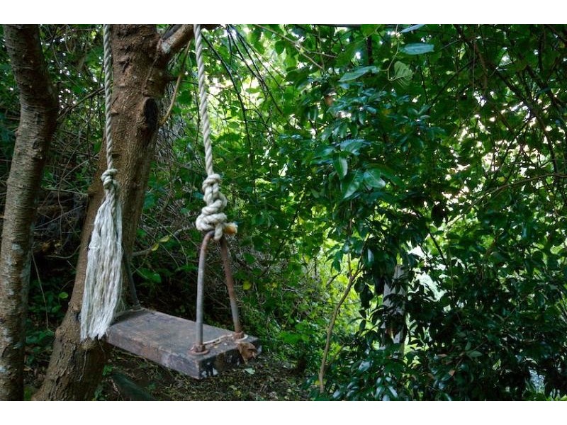 17 Parle Crescent, Buderim QLD 4556