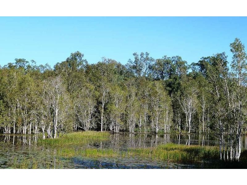 10 Quandong Street, Kawana Waters QLD 4575