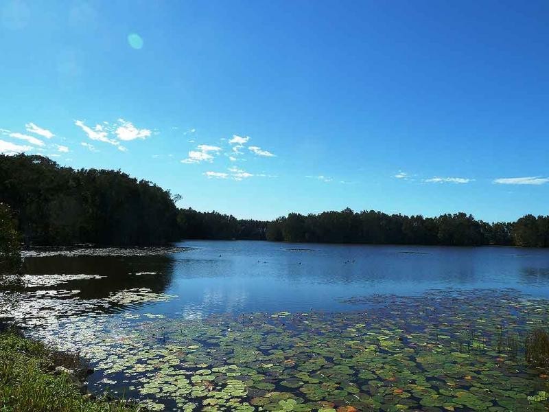 10 Quandong Street, Kawana Waters QLD 4575