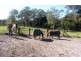 188 Glenmount Road, Tanawha QLD 4556