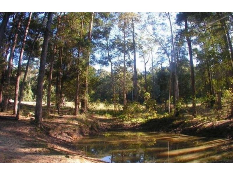 188 Glenmount Road, Tanawha QLD 4556