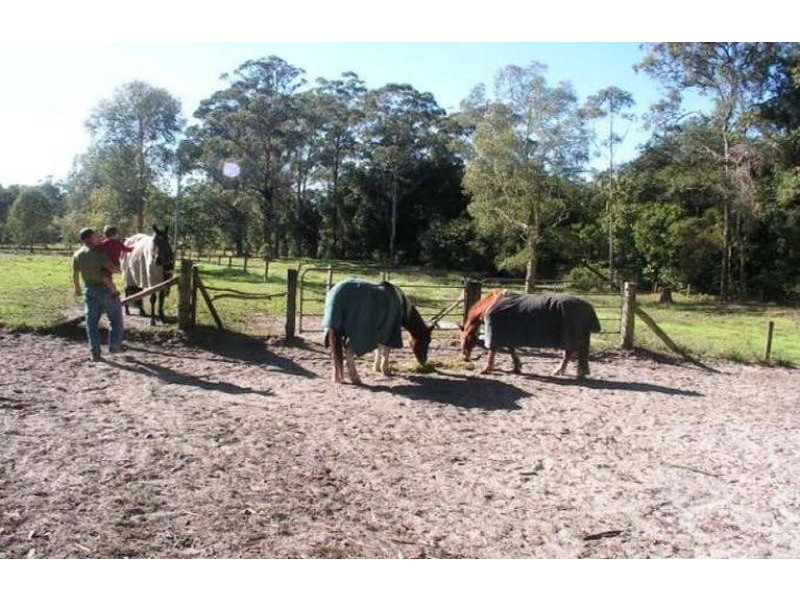 188 Glenmount Road, Tanawha QLD 4556