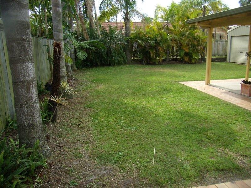 14 Greygum Court, Mooloolaba QLD 4557