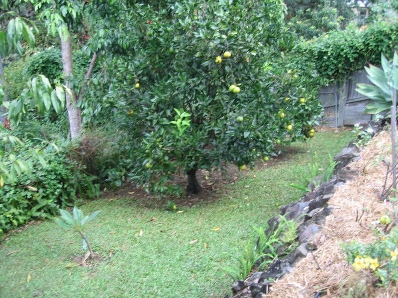 12 Karawatha Street, Buderim QLD 4556