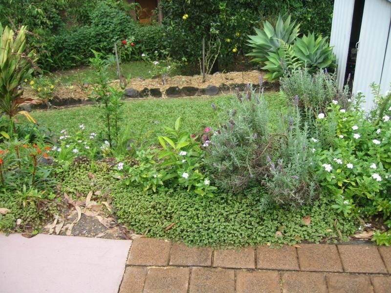 12 Karawatha Street, Buderim QLD 4556