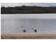 135 Bradman Avenue, Maroochydore QLD 4558