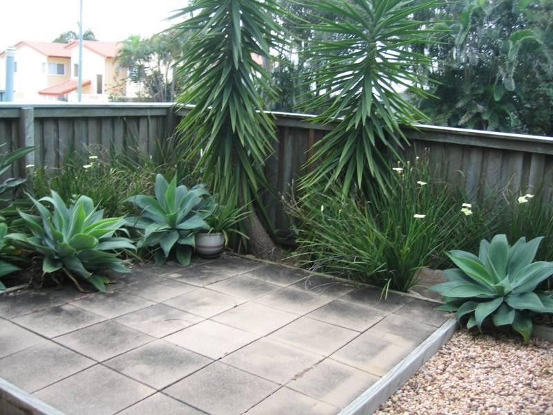 1/37 Buderim Avenue, Alexandra Headland QLD 4572