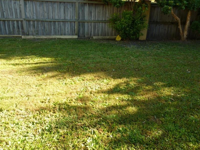 11 Phoenix Circuit, Sippy Downs QLD 4556