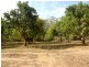 Lot 5, 197 Lindeman Road, Beerwah QLD 4519