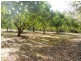 Lot 5, 197 Lindeman Road, Beerwah QLD 4519