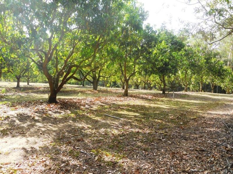 Lot 5, 197 Lindeman Road, Beerwah QLD 4519