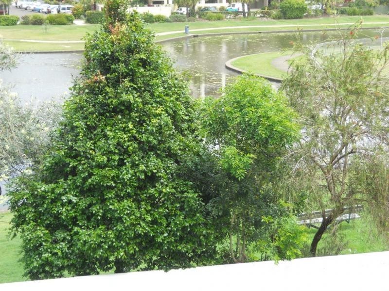 21/140 Alexandra Parade, Alexandra Headland QLD 4572