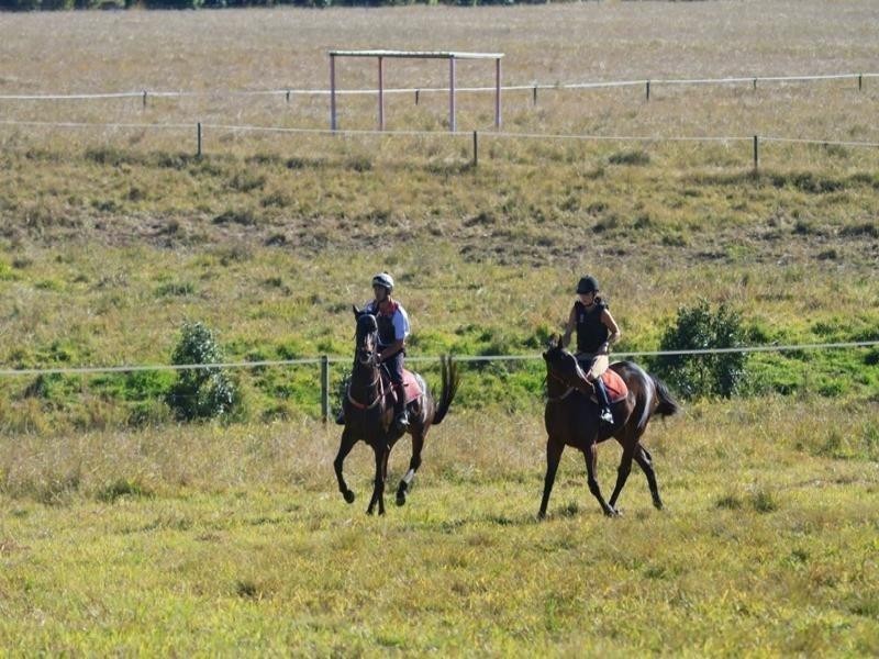 72 Sheahans Road, Yandina QLD 4561