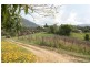 310 Memorial Avenue, Eumundi QLD 4562