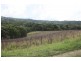 310 Memorial Avenue, Eumundi QLD 4562