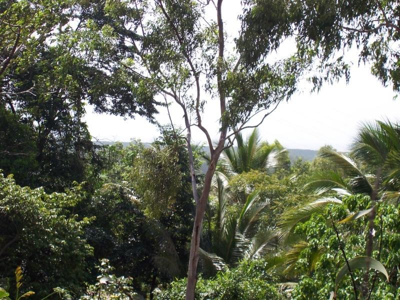 Killaloe QLD 4873