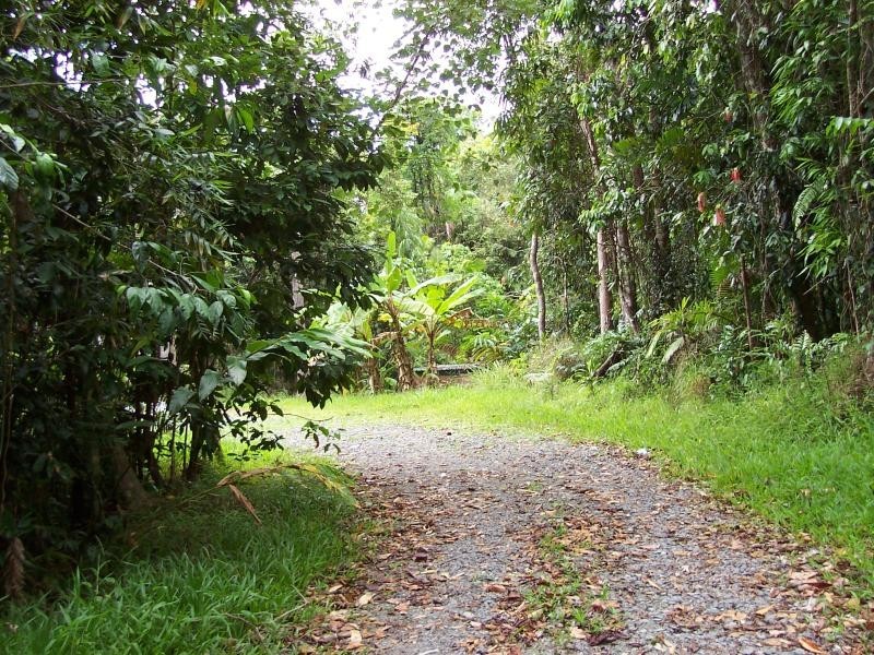 Diwan QLD 4873