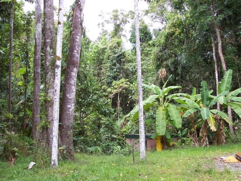 Diwan QLD 4873