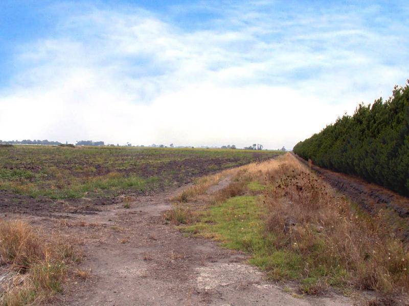 Koo Wee Rup VIC 3981