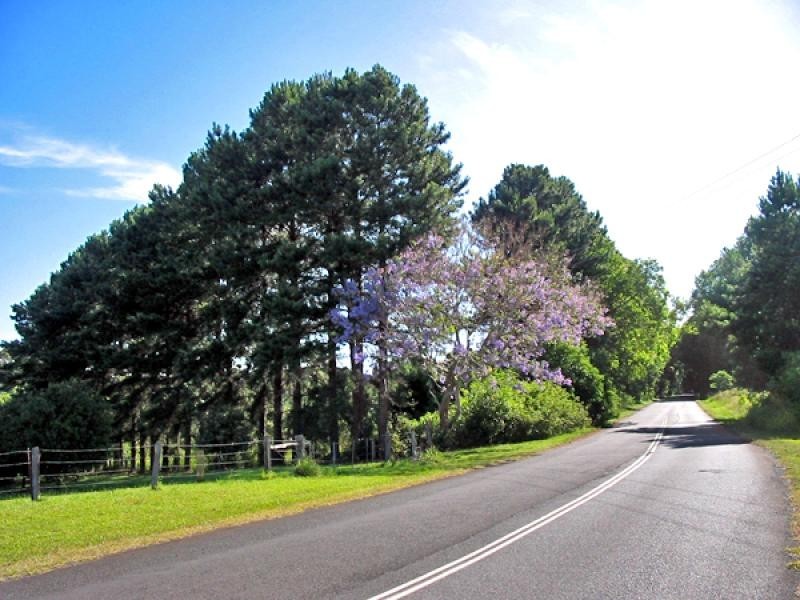 330 Cowlong Road, Mcleans Ridges NSW 2480