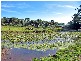 330 Cowlong Road, Mcleans Ridges NSW 2480