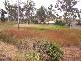8 Austin Drive, Eton QLD 4741