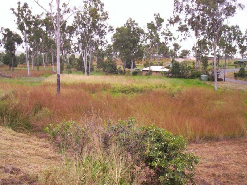 8 Austin Drive, Eton QLD 4741