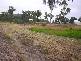 8 Austin Drive, Eton QLD 4741
