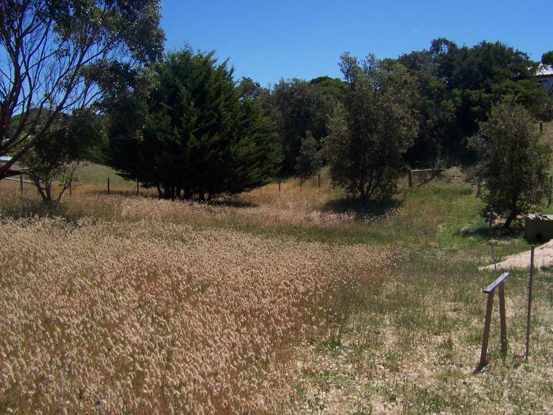 3 Constance Crescent, Venus Bay VIC 3956