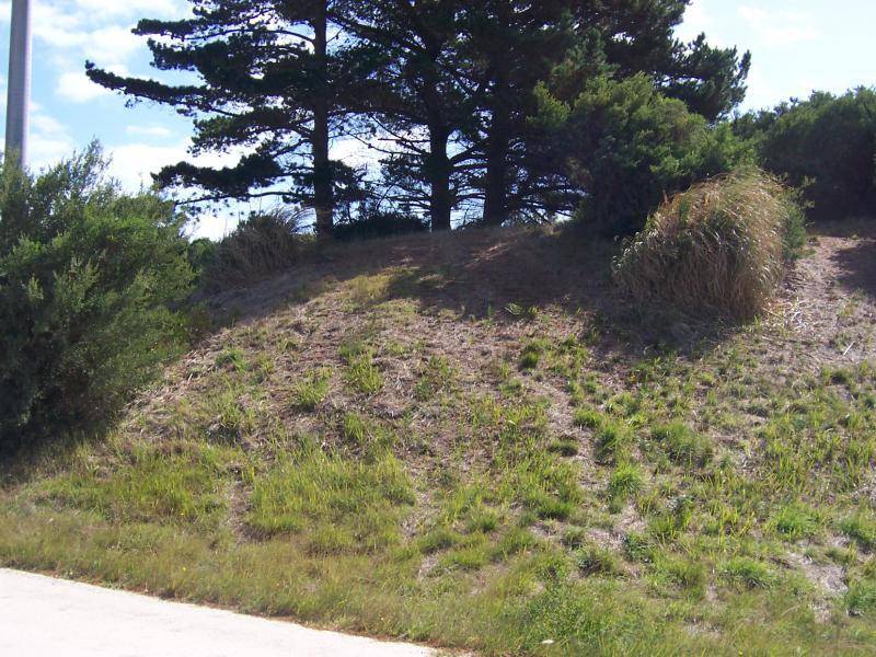 29 Louis Road, Venus Bay VIC 3956