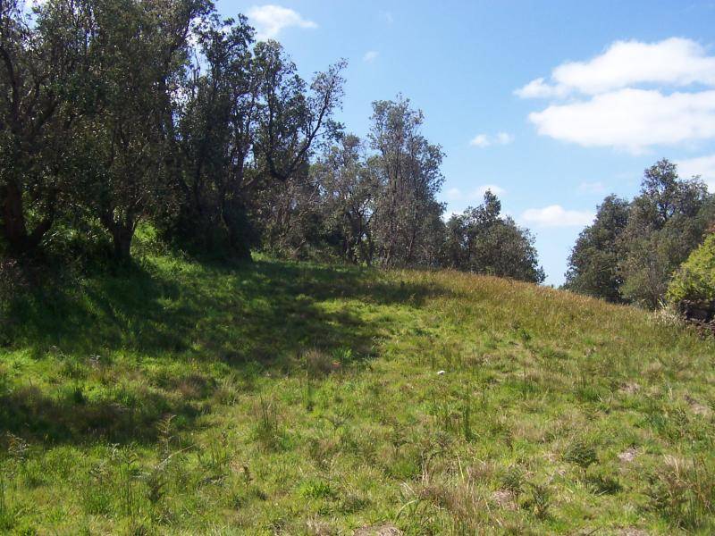 41 Alfred Crescent, Venus Bay VIC 3956