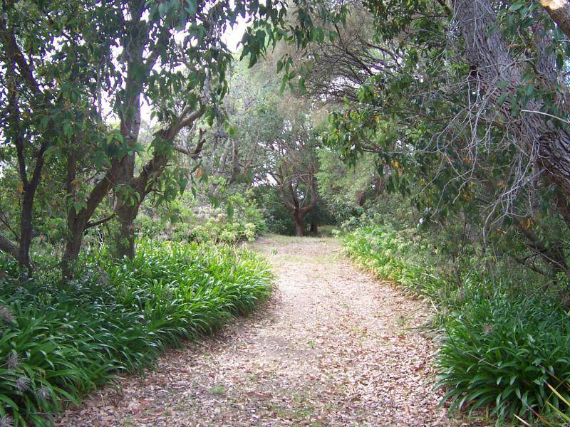 14 Fishermans Road, Venus Bay VIC 3956