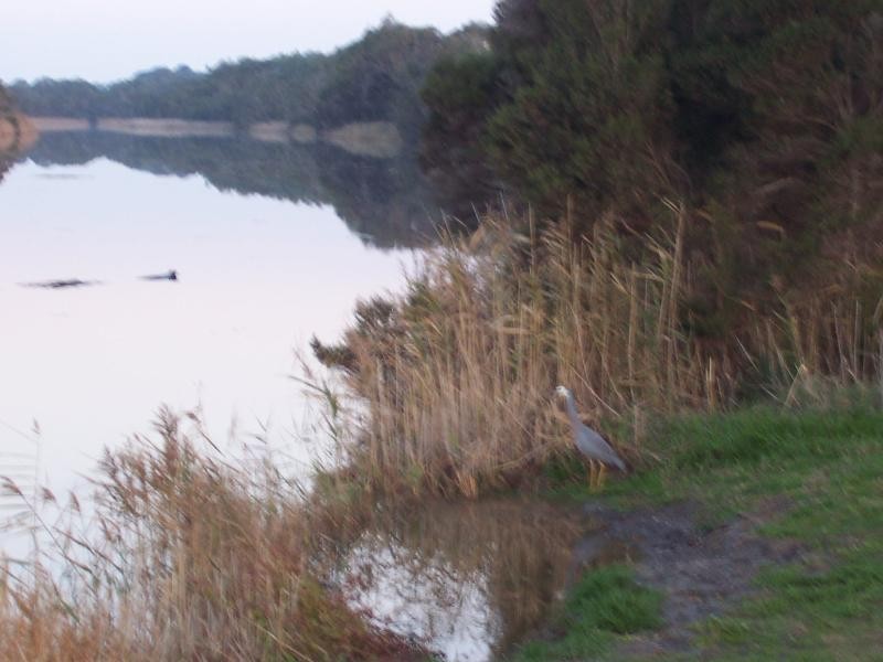 Lot 1 Burrows Road, Tarwin Lower VIC 3956